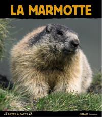 La marmotte