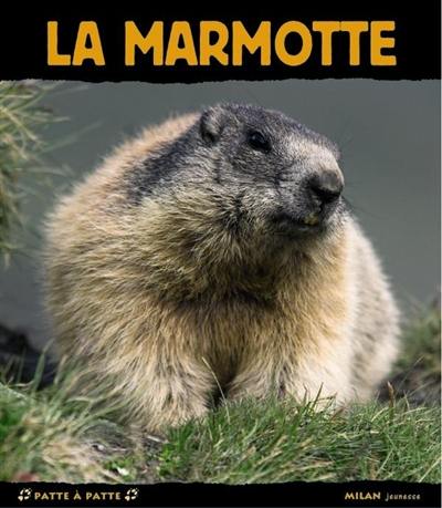 La marmotte