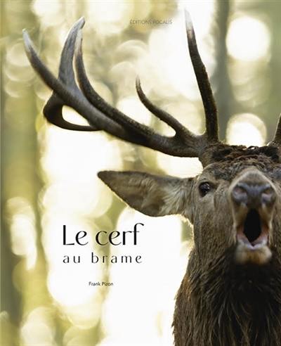 Le cerf au brame