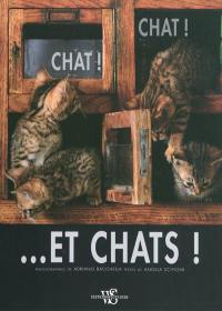 Chat ! Chat et... chats !