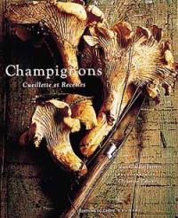 Les champignons : cueillette et recettes