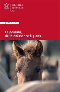 Le poulain, de la naissance à 3 ans