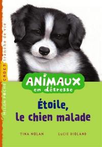 Animaux en détresse. Etoile, le chiot malade