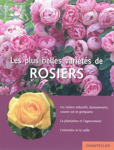 Les plus belles variétés de rosiers