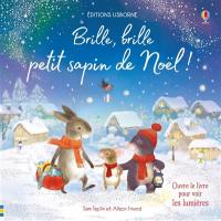 Brille, brille, petit sapin de Noël !