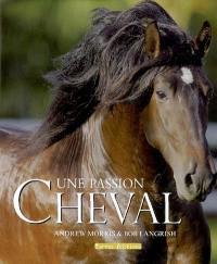 Cheval : une passion