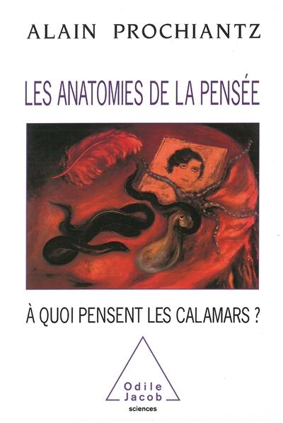 Les anatomies de la pensée : à quoi pensent les calamars ?