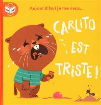 Carlito est triste !. Carlito est heureux !