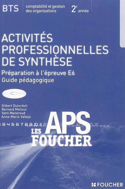 Activités professionnelles de synthèse, BTS comptabilité et gestion des organisations, 2e année : préparation à l'épreuve E6 : guide pédagogique