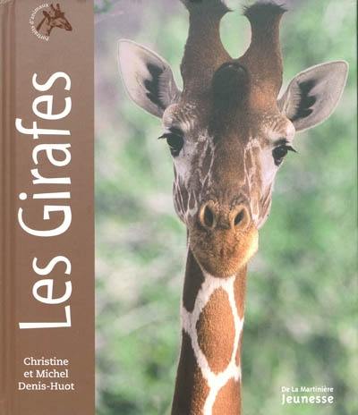 Les girafes