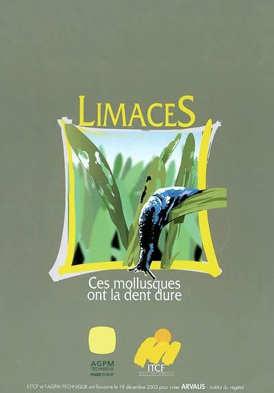 Limaces : ces mollusques ont la dent dure !