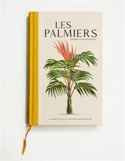 Les palmiers