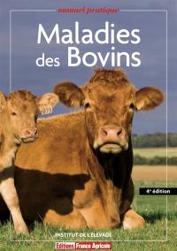 Maladies des bovins