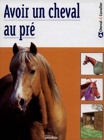 Avoir un cheval au pré