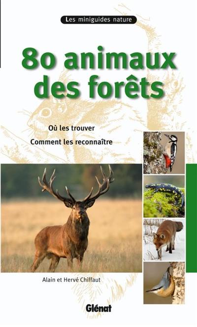 80 animaux des forêts : où les trouver, comment les reconnaître