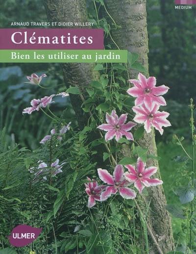 Clématites : bien les utiliser au jardin