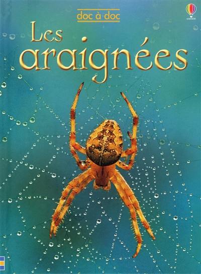 Les araignées