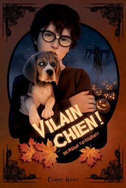 Vilain chien