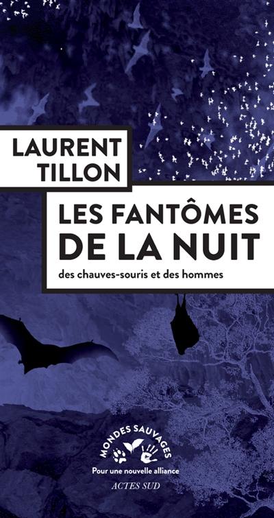 Les fantômes de la nuit : des chauves-souris et des hommes