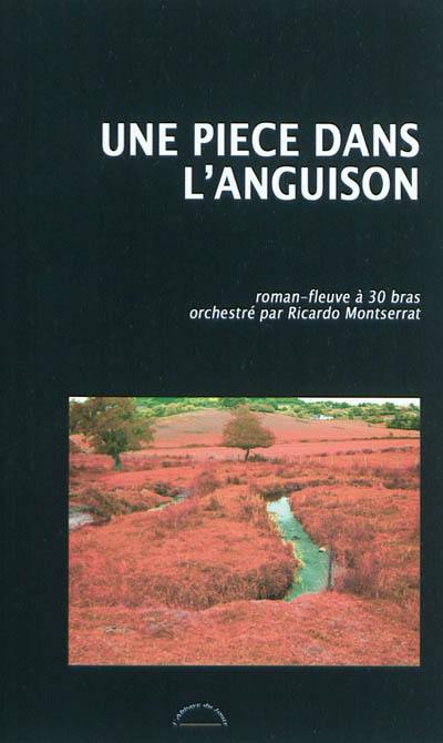 Une pièce dans l'Anguison : roman-fleuve à 30 bras