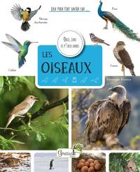 Les oiseaux : quiz, jeux et p'tites infos