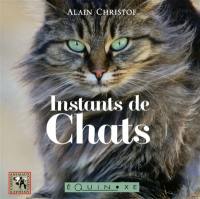 Instants de chats