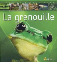 La grenouille