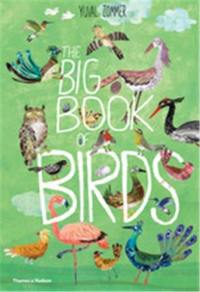 The Big Book of Birds