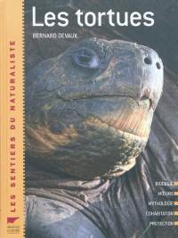 Les tortues : description, évolution, répartition, comportement, observation, protection