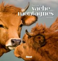 Tout sur la vache des montagnes