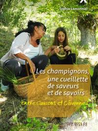 Les champignons, une cueillette de saveurs et de savoirs : entre Causses et Cévennes