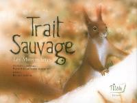 Trait sauvage : les mammifères