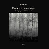 Paysages de cerveau