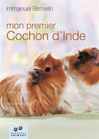 Mon cochon d'Inde