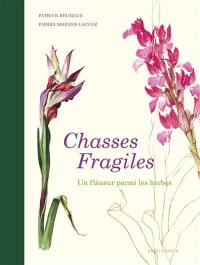 Chasses fragiles : un flâneur parmi les herbes