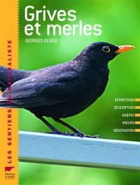 Grives et merles