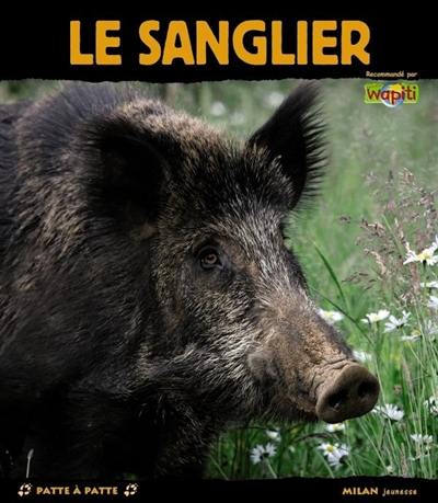 Le sanglier