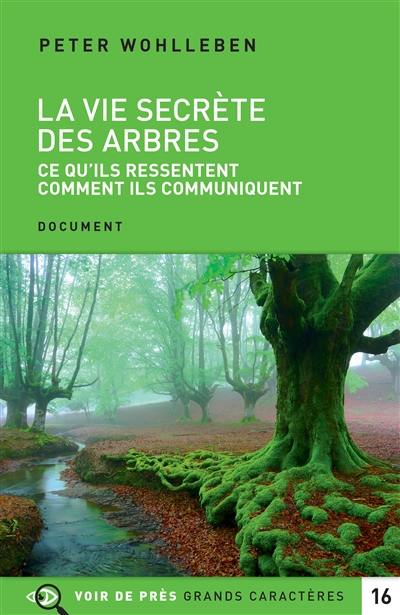 La vie secrète des arbres : ce qu'ils ressentent, comment ils communiquent : un monde inconnu s'ouvre à nous