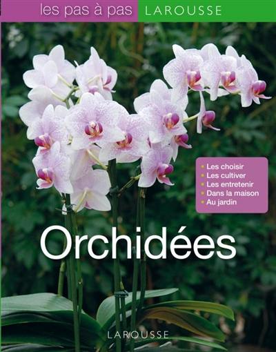 Orchidées