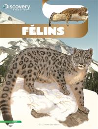 Félins