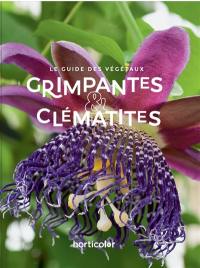 Grimpantes & clématites