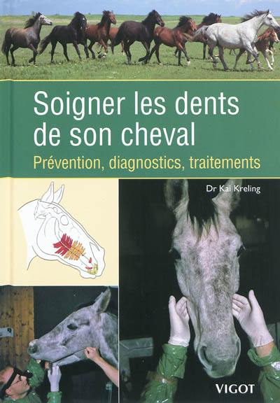 Soigner les dents de son cheval : prévention, diagnostic, traitements