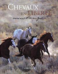 Chevaux en liberté, mustangs