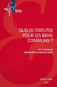 Quel(s) statut(s) pour les biens communs ?