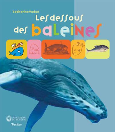 Les dessous des baleines