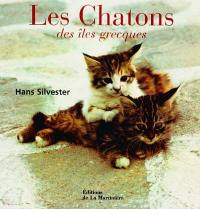 Les chatons des îles grecques