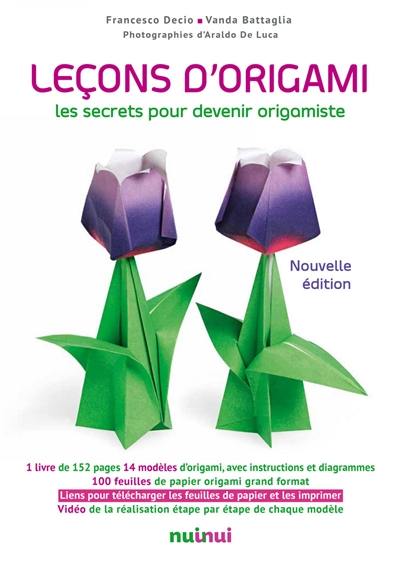 Leçons d'origami : les secrets pour devenir origamiste