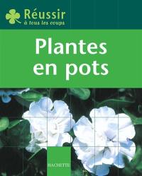 Plantes en pot idéales