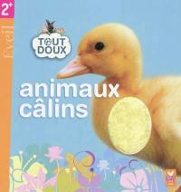 Animaux câlins