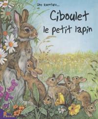 Ciboulet le petit lapin